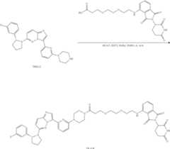 Figure US11969472-20240430-C00199