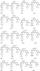 Figure FDA0003207287100000041