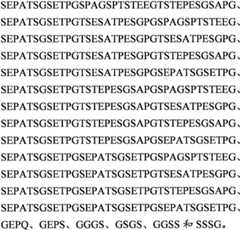 Figure BPA0000281274980000411