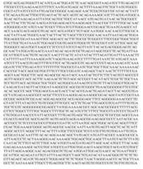 Figure imgf000090_0001