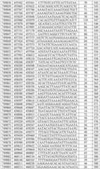 Figure BDA0003282506760001241