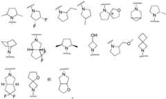 Figure FDA0002486010530000051