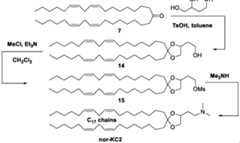 Figure imgf000022_0001