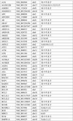 Figure BDA0002159872460000031