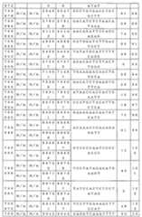 Figure 0007646616000019