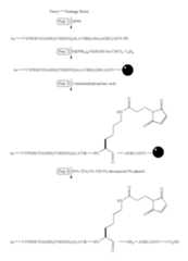 Figure US06706892-20040316-C00088