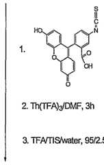 Figure imgf000118_0002
