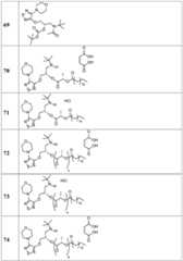 Figure BDA0002268634580002601