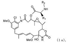 Figure 2022068367000008