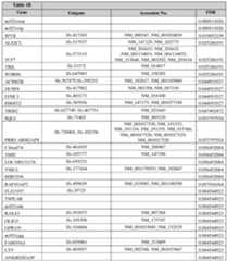 Figure imgf000239_0001