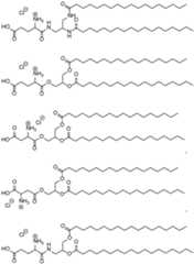 Figure imgf000047_0001