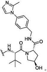 Figure BDA0003783300830001371