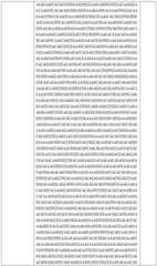 Figure BDA0002508391090001151