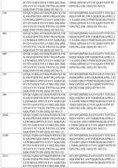 Figure PCTCN2022116860-appb-000038