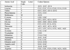 Figure imgf000058_0001