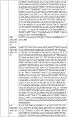 Figure BDA0004033970230006601