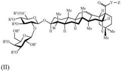 Figure BDA0003625098970000101