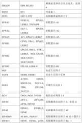 Figure BDA0001878096640000511