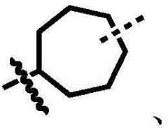 Figure BDA0002964098100000536