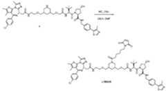 Figure imgf000517_0001