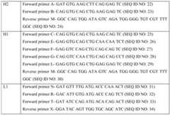 Figure imgf000067_0001