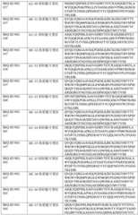 Figure BDA0003429348370000891