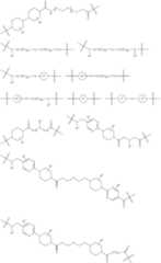 Figure US12048749-20240730-C00304