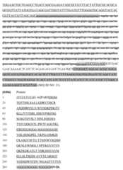 Figure imgf000098_0001