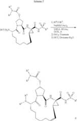 Figure US07829665-20101109-C00427