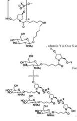 Figure imgf000090_0002