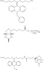 Figure US08377647-20130219-C00031