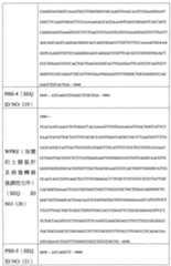 Figure 108128641-A0202-12-0096-943