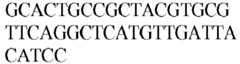 Figure imgb0448