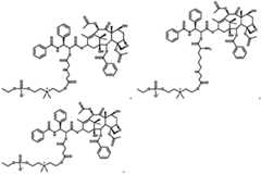 Figure FDA0003493851830000032