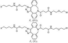 Figure FDA0003590456540000032