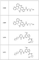 Figure imgf000263_0001