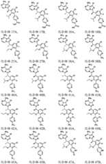 Figure FDA0003481820600000081