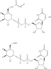 Figure US07405198-20080729-C00030