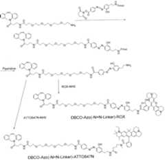 Figure imgf000588_0001