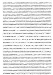 Figure 109103078-A0101-12-0121-96