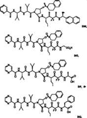 Figure F2009101493490C00101