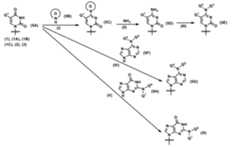Figure JPOXMLDOC01-appb-C000024