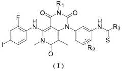 Figure BDA0003657542690000031