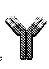 Figure imgf000020_0003