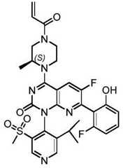 Figure BDA0002861043520000842