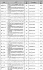 Figure BDA0002379404260001171