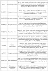 Figure PCTCN2022090268-appb-000045