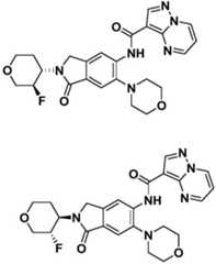 Figure BDA0001702803240005911