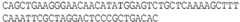 Figure imgb0013