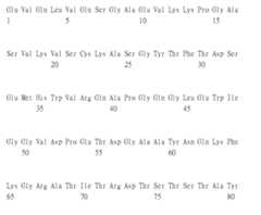 Figure 105135184-A0305-02-0176-85